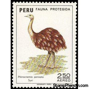 Peru 1973 Lesser Rhea (Rhea pennata)