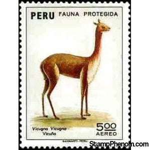 Peru 1973 Vicugna (Vicugna vicugna)