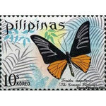 Philippines 1969 Magellan Birdwing (Troides magellanus)-Stamps-Philippines-Mint-StampPhenom