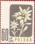 Poland 1957 Wild Flowers-Stamps-Poland-StampPhenom
