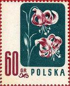 Poland 1957 Wild Flowers-Stamps-Poland-StampPhenom