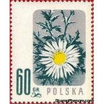 Poland 1957 Wild Flowers