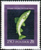 Poland 1958 Fish-Stamps-Poland-StampPhenom