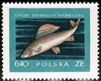 Poland 1958 Fish-Stamps-Poland-StampPhenom