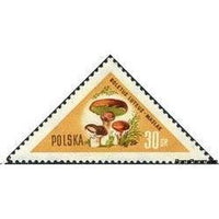 Poland 1959 Fungi-Stamps-Poland-StampPhenom