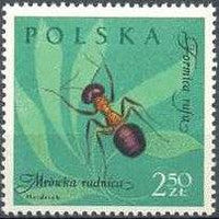 Poland 1961 Insects-Stamps-Poland-StampPhenom