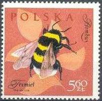 Poland 1961 Insects-Stamps-Poland-StampPhenom