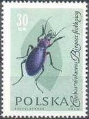 Poland 1961 Insects-Stamps-Poland-StampPhenom