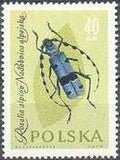 Poland 1961 Insects-Stamps-Poland-StampPhenom