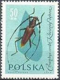 Poland 1961 Insects-Stamps-Poland-StampPhenom