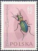 Poland 1961 Insects-Stamps-Poland-StampPhenom