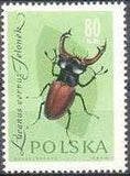 Poland 1961 Insects-Stamps-Poland-StampPhenom