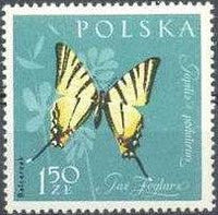 Poland 1961 Insects-Stamps-Poland-StampPhenom