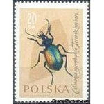Poland 1961 Insects