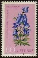 Poland 1962 Protected Flowers-Stamps-Poland-StampPhenom