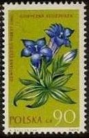 Poland 1962 Protected Flowers-Stamps-Poland-StampPhenom