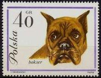 Poland 1963 Dogs-Stamps-Poland-StampPhenom