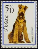 Poland 1963 Dogs-Stamps-Poland-StampPhenom