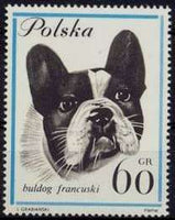 Poland 1963 Dogs-Stamps-Poland-StampPhenom