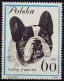 Poland 1963 Dogs-Stamps-Poland-StampPhenom