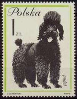 Poland 1963 Dogs-Stamps-Poland-StampPhenom