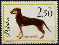 Poland 1963 Dogs-Stamps-Poland-StampPhenom