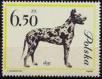 Poland 1963 Dogs-Stamps-Poland-StampPhenom