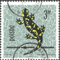 Poland 1963 Protected Reptiles and Amphibians-Stamps-Poland-StampPhenom