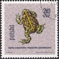 Poland 1963 Protected Reptiles and Amphibians-Stamps-Poland-StampPhenom