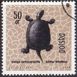 Poland 1963 Protected Reptiles and Amphibians-Stamps-Poland-StampPhenom