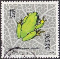 Poland 1963 Protected Reptiles and Amphibians-Stamps-Poland-StampPhenom