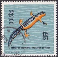 Poland 1963 Protected Reptiles and Amphibians-Stamps-Poland-StampPhenom