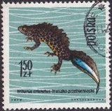 Poland 1963 Protected Reptiles and Amphibians-Stamps-Poland-StampPhenom