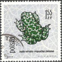 Poland 1963 Protected Reptiles and Amphibians-Stamps-Poland-StampPhenom