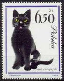 Poland 1964 Pet Cats-Stamps-Poland-StampPhenom