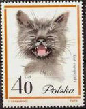 Poland 1964 Pet Cats-Stamps-Poland-StampPhenom