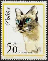 Poland 1964 Pet Cats-Stamps-Poland-StampPhenom