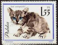 Poland 1964 Pet Cats-Stamps-Poland-StampPhenom