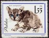 Poland 1964 Pet Cats-Stamps-Poland-StampPhenom