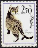 Poland 1964 Pet Cats-Stamps-Poland-StampPhenom