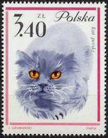 Poland 1964 Pet Cats-Stamps-Poland-StampPhenom