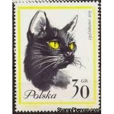 Poland 1964 Pet Cats