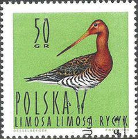 Poland 1964 Waterbirds-Stamps-Poland-StampPhenom