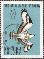 Poland 1964 Waterbirds-Stamps-Poland-StampPhenom