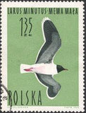 Poland 1964 Waterbirds-Stamps-Poland-StampPhenom