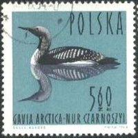 Poland 1964 Waterbirds-Stamps-Poland-StampPhenom