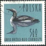 Poland 1964 Waterbirds-Stamps-Poland-StampPhenom