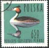 Poland 1964 Waterbirds-Stamps-Poland-StampPhenom