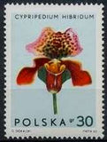 Poland 1965 Orchids-Stamps-Poland-StampPhenom