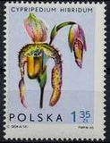 Poland 1965 Orchids-Stamps-Poland-StampPhenom